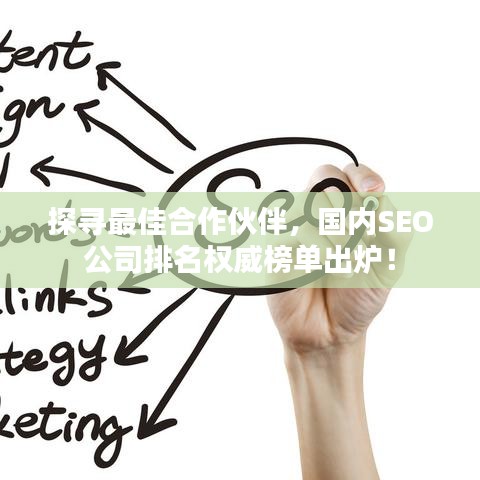 探寻最佳合作伙伴，国内SEO公司排名权威榜单出炉！