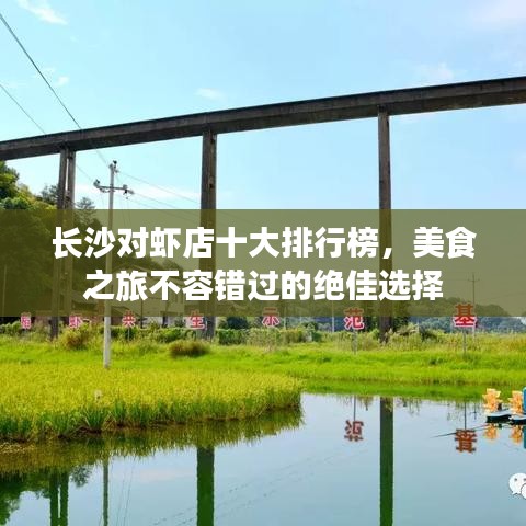 长沙对虾店十大排行榜，美食之旅不容错过的绝佳选择