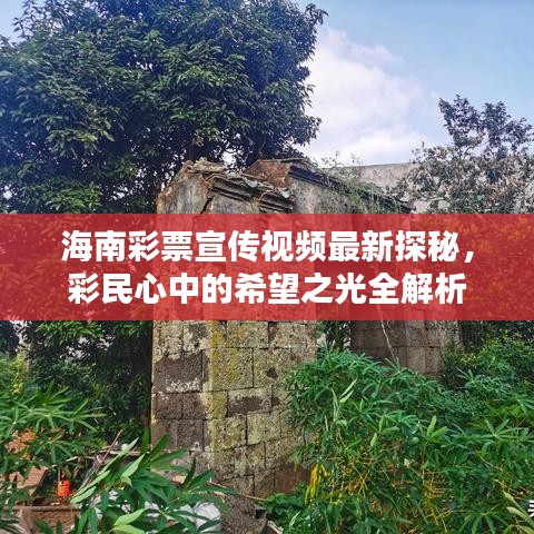 海南彩票宣传视频最新探秘，彩民心中的希望之光全解析
