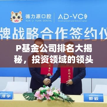 P基金公司排名大揭秘，投资领域的领头羊！