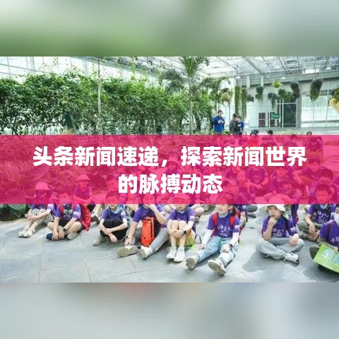 头条新闻速递，探索新闻世界的脉搏动态