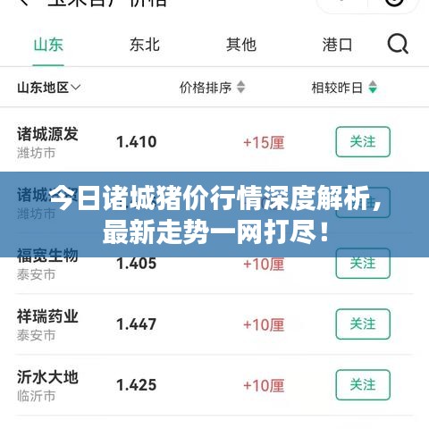 今日诸城猪价行情深度解析，最新走势一网打尽！