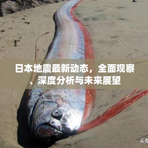 日本地震最新动态，全面观察、深度分析与未来展望