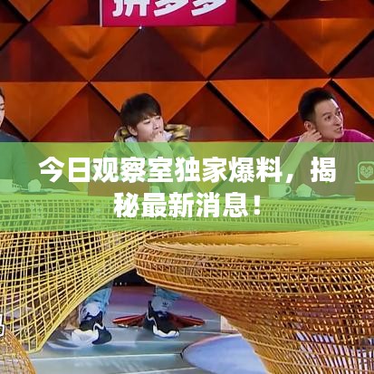 今日观察室独家爆料，揭秘最新消息！