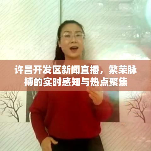 许昌开发区新闻直播，繁荣脉搏的实时感知与热点聚焦