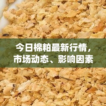 今日棉粕最新行情，市场动态、影响因素与未来趋势深度解析