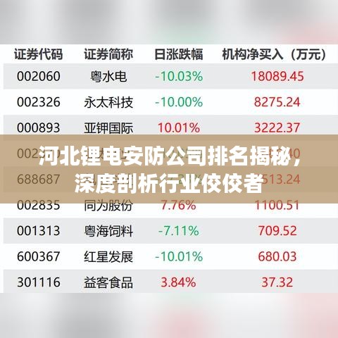河北锂电安防公司排名揭秘，深度剖析行业佼佼者