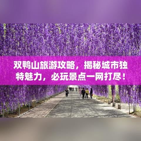 双鸭山旅游攻略，揭秘城市独特魅力，必玩景点一网打尽！