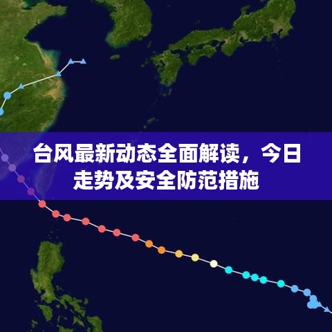 台风最新动态全面解读，今日走势及安全防范措施