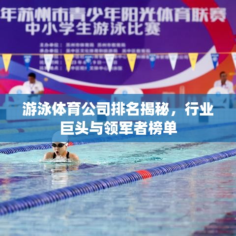 游泳体育公司排名揭秘，行业巨头与领军者榜单