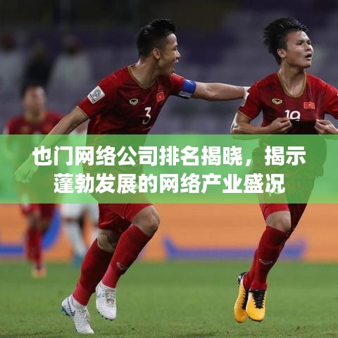 也门网络公司排名揭晓，揭示蓬勃发展的网络产业盛况