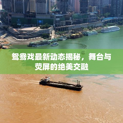 鸳鸯戏最新动态揭秘，舞台与荧屏的绝美交融