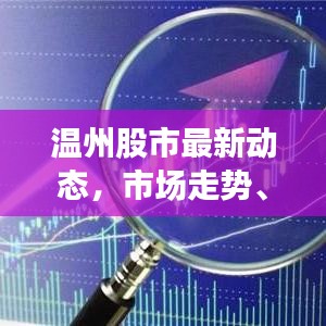 温州股市最新动态，市场走势、热点板块与个股深度解析