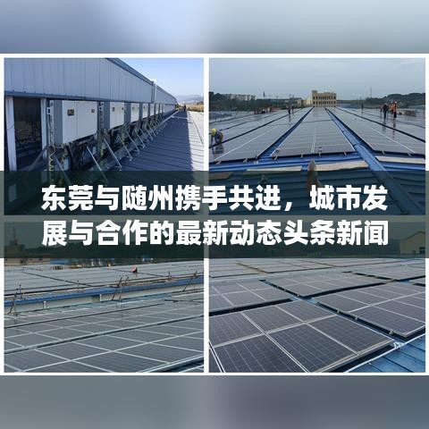 东莞与随州携手共进，城市发展与合作的最新动态头条新闻