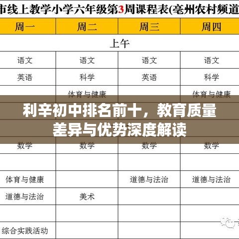 利辛初中排名前十，教育质量差异与优势深度解读