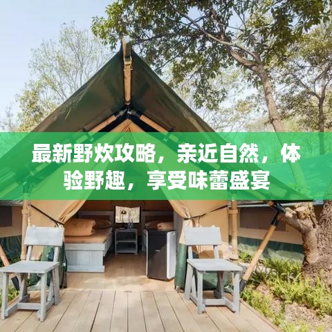 最新野炊攻略，亲近自然，体验野趣，享受味蕾盛宴