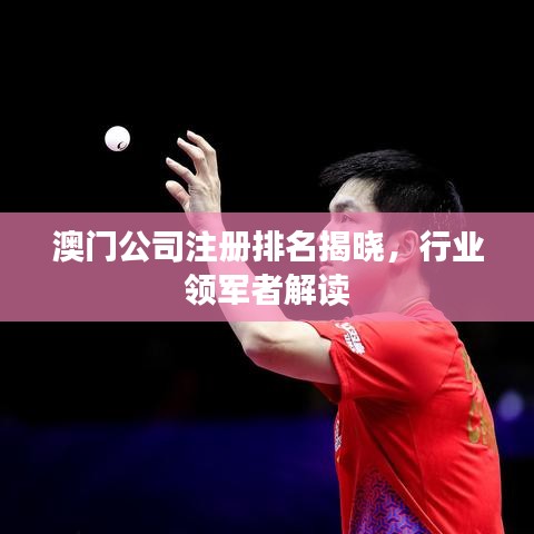 澳门公司注册排名揭晓，行业领军者解读