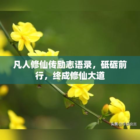 凡人修仙传励志语录，砥砺前行，终成修仙大道