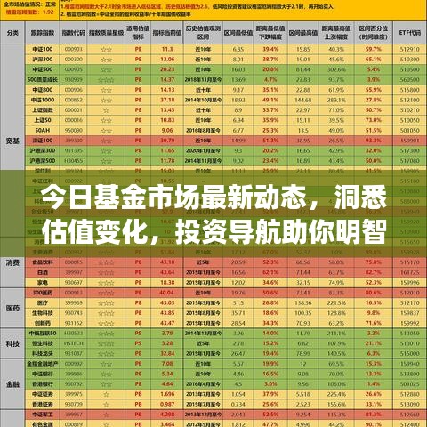 今日基金市场最新动态，洞悉估值变化，投资导航助你明智决策