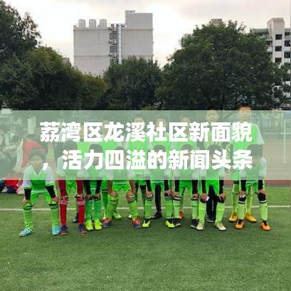 荔湾区龙溪社区新面貌，活力四溢的新闻头条展现