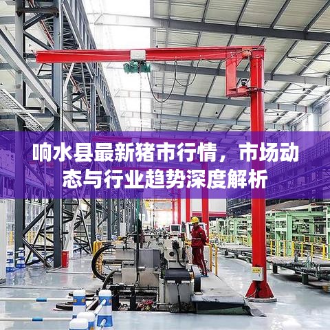 响水县最新猪市行情，市场动态与行业趋势深度解析