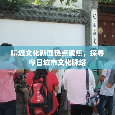 聊城文化新闻热点聚焦，探寻今日城市文化脉络