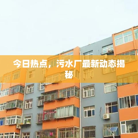 2025年6月3日 第20页