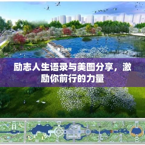 励志人生语录与美图分享，激励你前行的力量