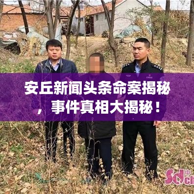 安丘新闻头条命案揭秘，事件真相大揭秘！
