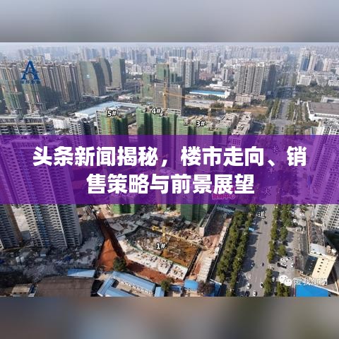 2025年6月3日 第5页