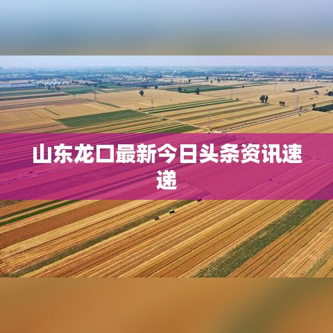山东龙口最新今日头条资讯速递