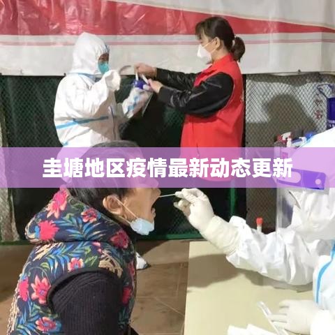 圭塘地区疫情最新动态更新