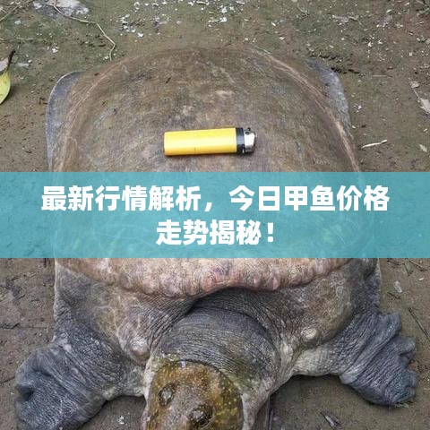 2025年6月4日 第40页