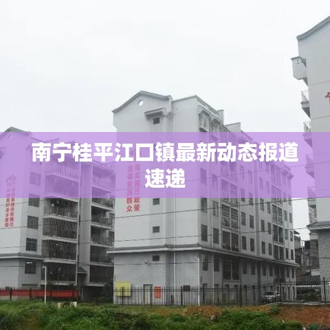 南宁桂平江口镇最新动态报道速递