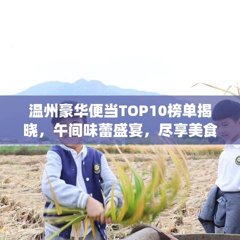 温州豪华便当TOP10榜单揭晓，午间味蕾盛宴，尽享美食狂欢！