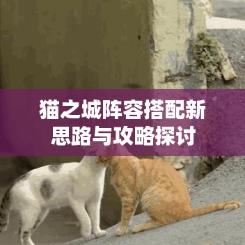 猫之城阵容搭配新思路与攻略探讨