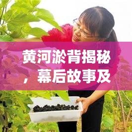 黄河淤背揭秘，幕后故事及其深远影响