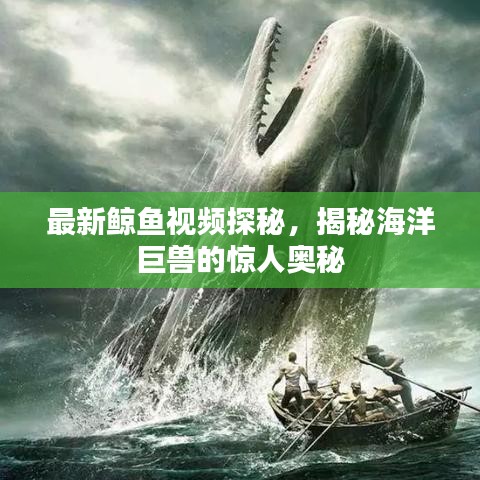 最新鲸鱼视频探秘，揭秘海洋巨兽的惊人奥秘
