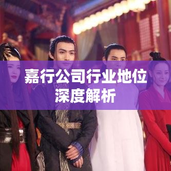 嘉行公司行业地位深度解析