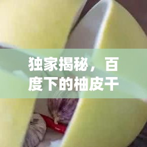 独家揭秘，百度下的柚皮干美味探索，咸味口感引人尝鲜