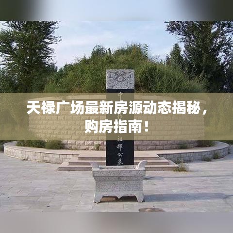 天禄广场最新房源动态揭秘，购房指南！