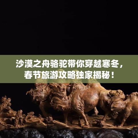 沙漠之舟骆驼带你穿越寒冬，春节旅游攻略独家揭秘！