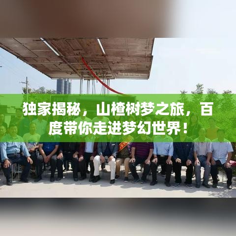 独家揭秘，山楂树梦之旅，百度带你走进梦幻世界！