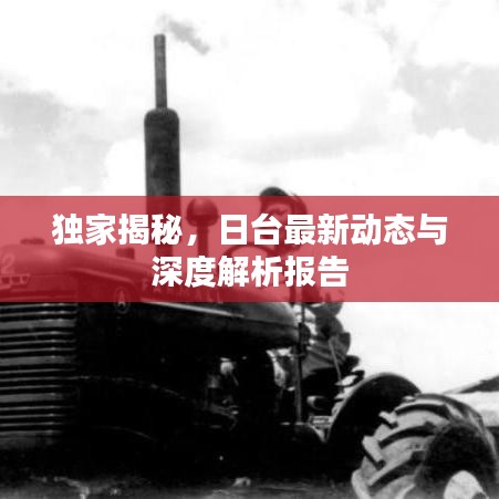 独家揭秘，日台最新动态与深度解析报告