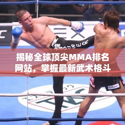 揭秘全球顶尖MMA排名网站，掌握最新武术格斗资讯