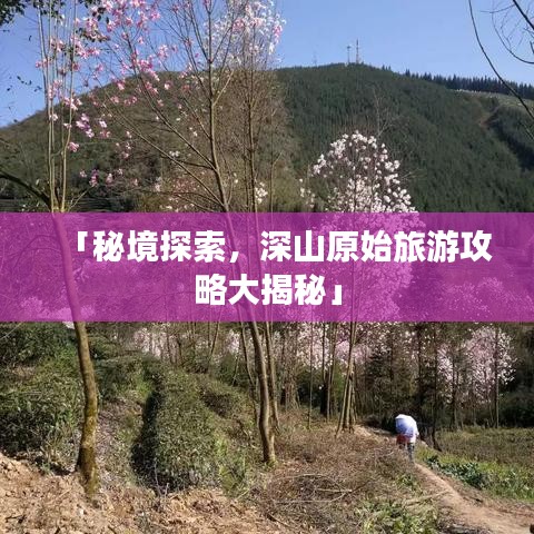 「秘境探索，深山原始旅游攻略大揭秘」