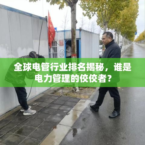 全球电管行业排名揭秘，谁是电力管理的佼佼者？