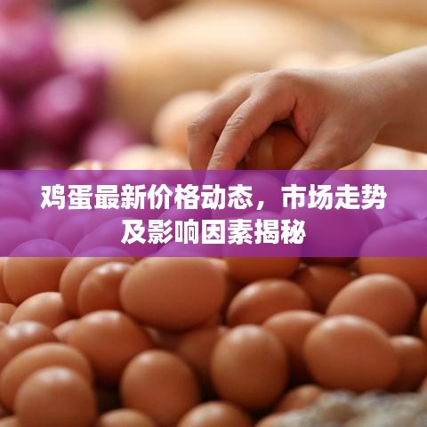 鸡蛋最新价格动态，市场走势及影响因素揭秘