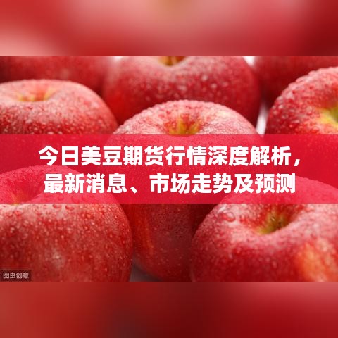 今日美豆期货行情深度解析，最新消息、市场走势及预测
