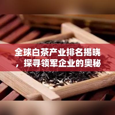 全球白茶产业排名揭晓，探寻领军企业的奥秘！